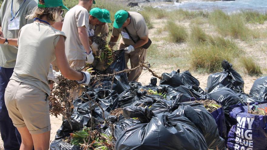 Recogidos ya 23.000 kilos de basura de las playas en lo que llevamos de año