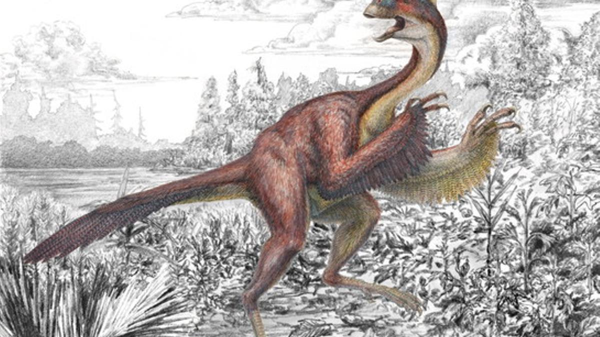 Imagen del 'Anzu wyliei', apodado &quot;el pollo del infierno&quot;, el dinosaurio hallado por científicos de EEUU.