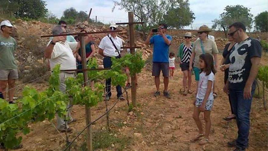 Bodega Flors ofrece visitas guiadas