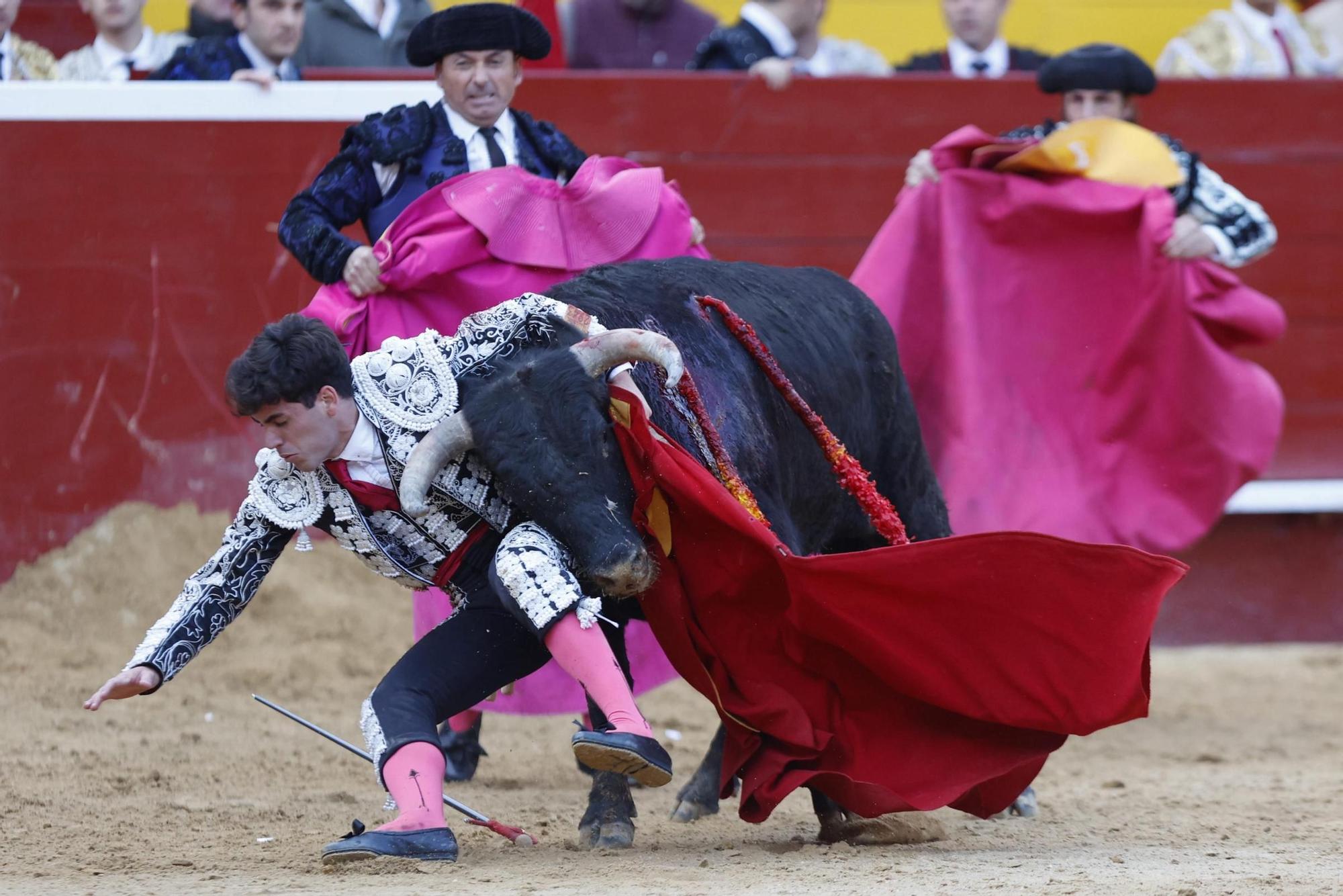 La novillada sin picadores de la Feria de Fallas, en imágenes