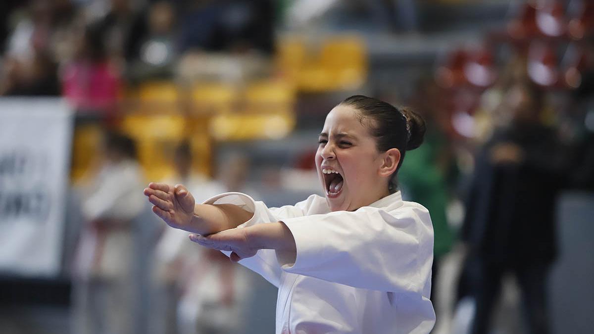 El Campeonato de Andalucía infantil de kárate y de parakárete, en imagenes