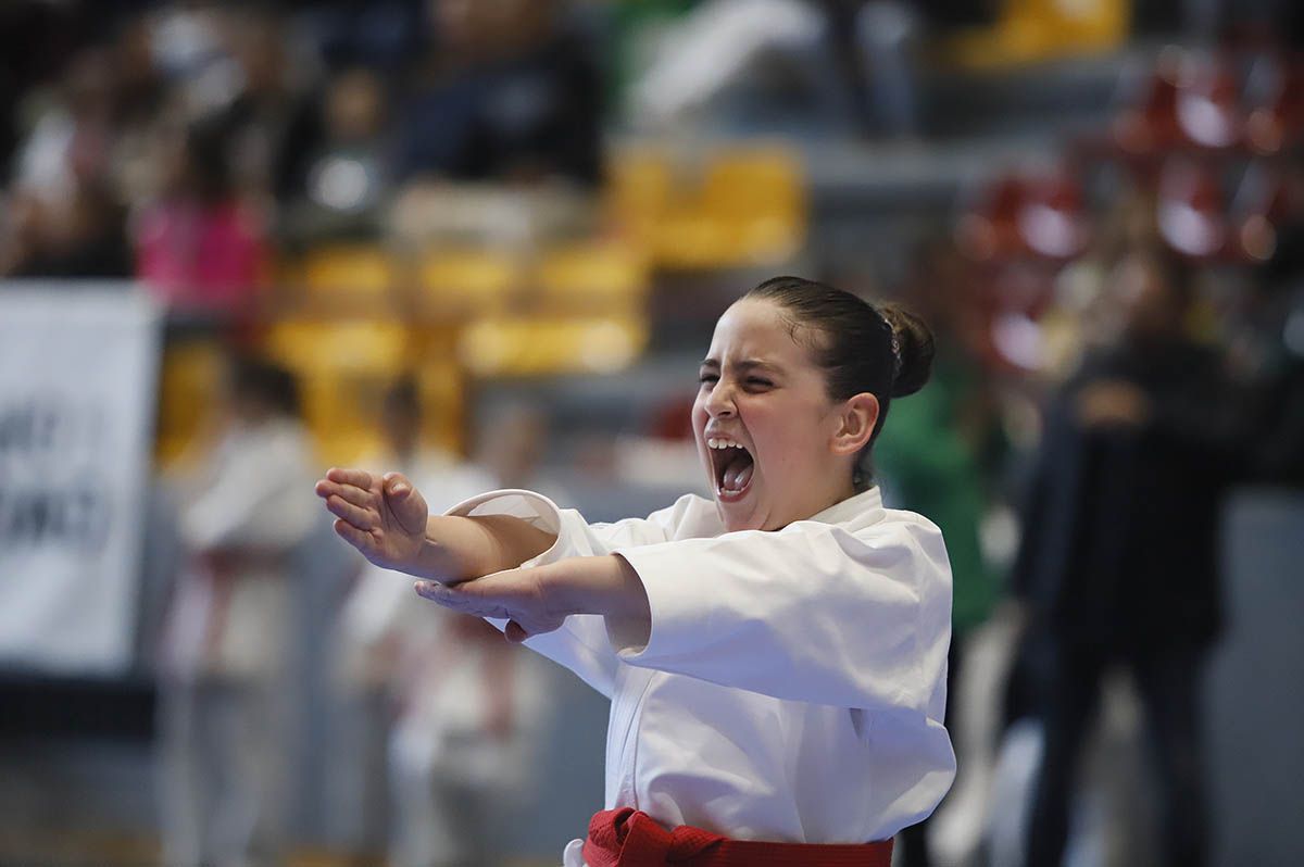 El Campeonato de Andalucía infantil de kárate y de parakárete, en imagenes