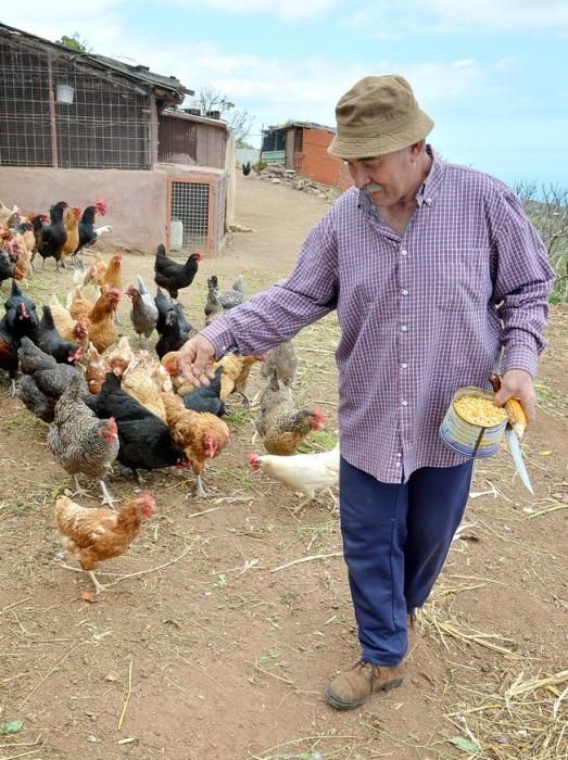 Pepe Guedes, agricultor orgánico