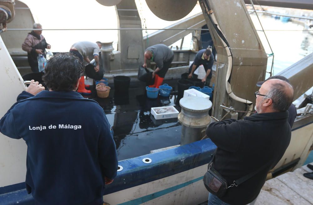 Tan solo cinco compradores y un barco se encargan de llevar el marisco y el pescado de arrastre cada día a la mesa de los malagueños donde la merluza y las gambas son las grandes protagonistas.