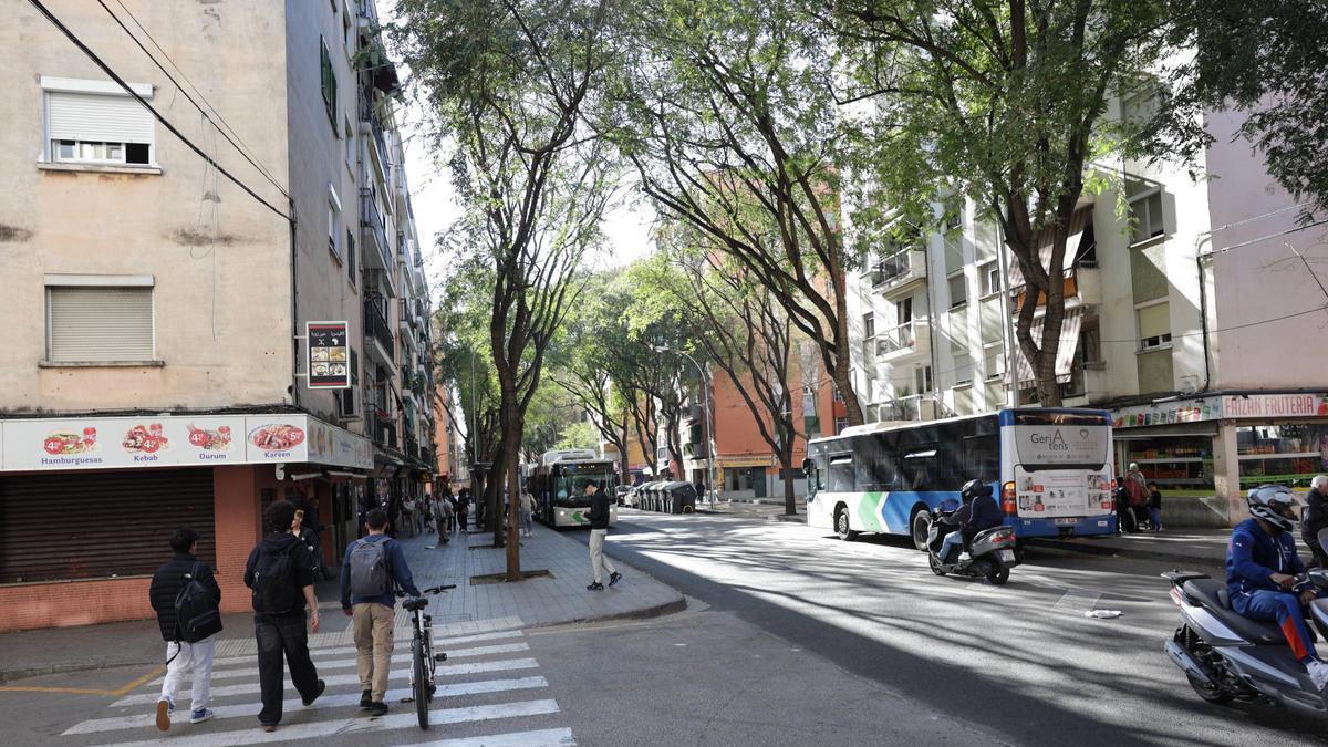 Son Gotleu será objeto de un plan especial.