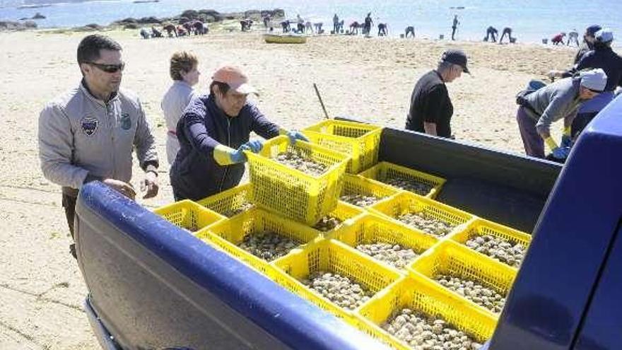 Mariscadoras en el vivero de la Cofradía de A Illa.  // Noé Parga