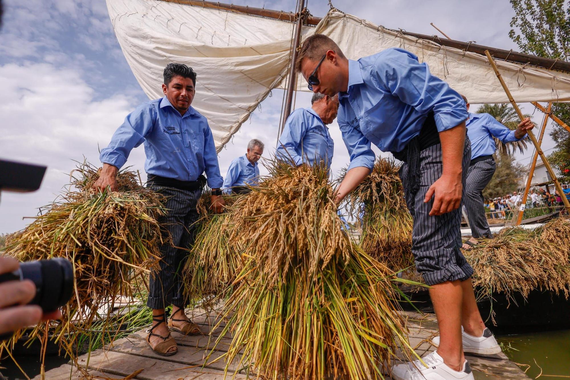 El puerto de Catarroja reúne a 5.000 personas en la Fiesta de la siega del arroz
