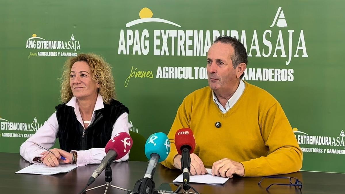 Montse Herrojo y Juan Metidieri esta mañana en rueda de prensa, en Mérida.