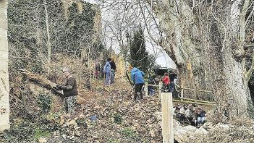 La Asociación Bureteando realiza labores de limpieza