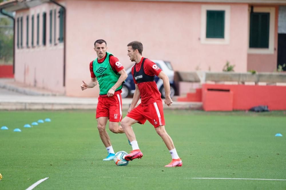 Entrenamiento del Malloca en Son Bibiloni