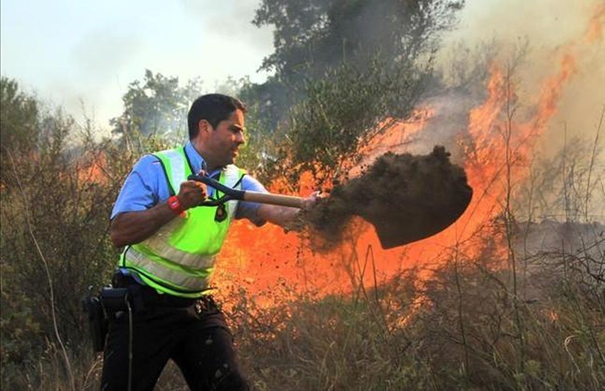 El mosso d’esquadra Josep Navarro intenta salvar l’olivera, el juliol del 2012. El mosso d’esquadra Josep Navarro intenta salvar l’olivera, el juliol del 2012.