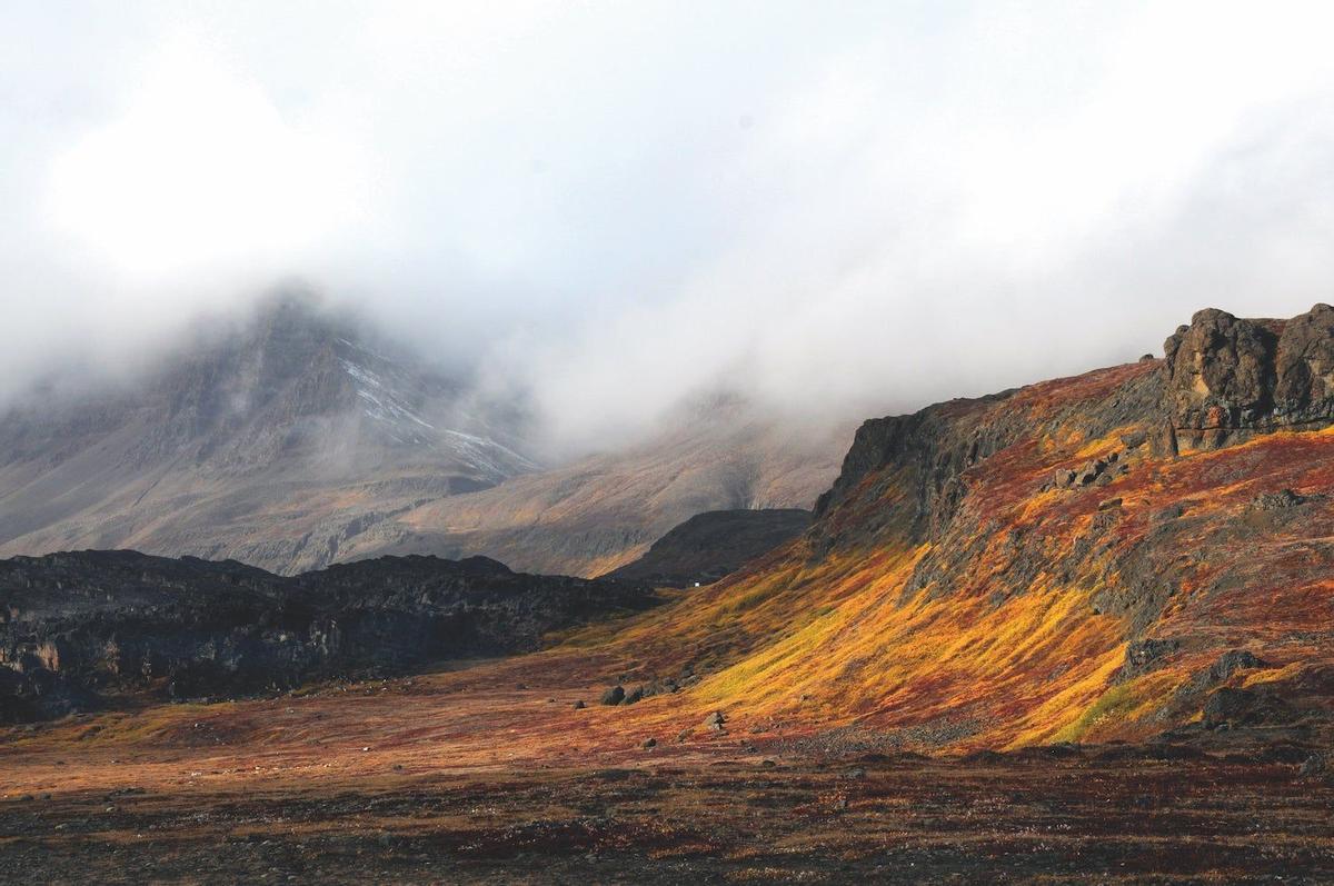 Groenlandia