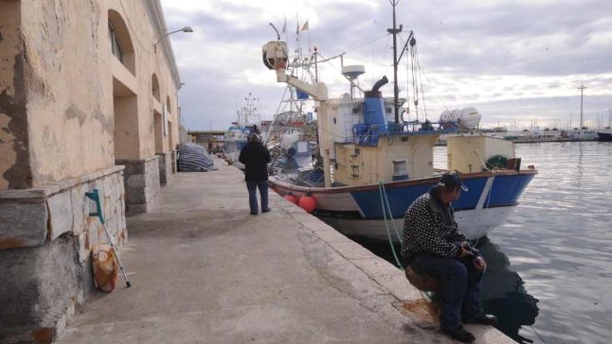 Una imagen tomada ayer en el Puerto de Torrevieja durante el primer día de inactividad.