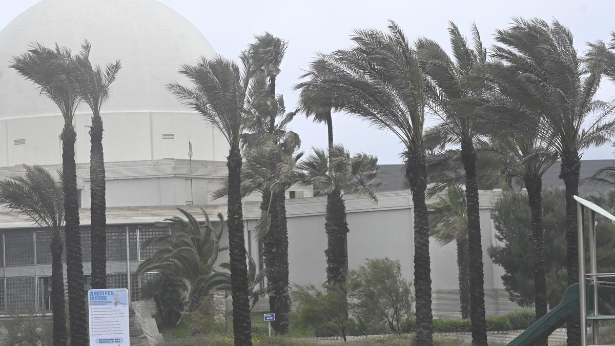 Imagen de archivo de viento en el Planetario de Castelló.