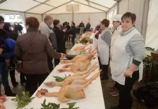 Meis suspende la feria del gallo de corral al no regularizarse los criadores