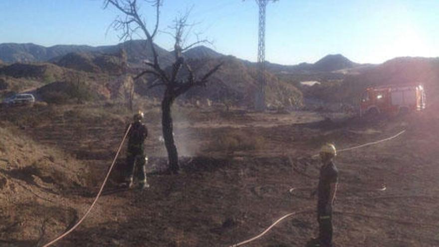 Los bomberos sofocan un fuego forestal declarado en El Moralet
