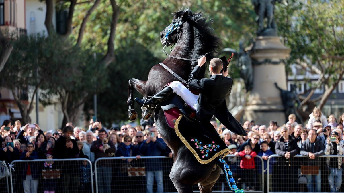 Menorcan horse riding in a previous edition of Balearic Islands Day in Ibiza.