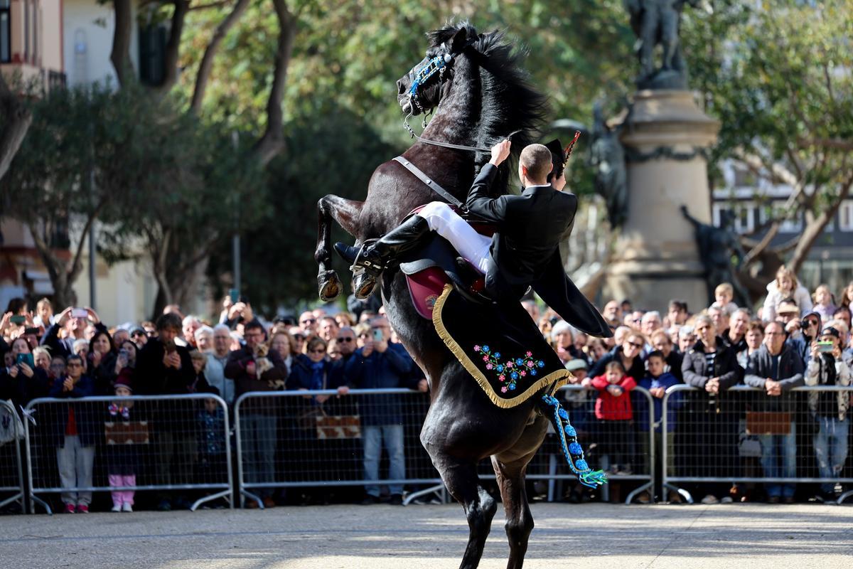 Menorcan horse riding in a previous edition of Balearic Islands Day in Ibiza.