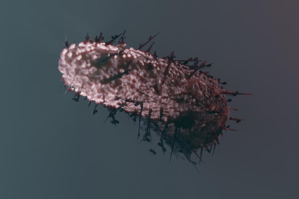 El virus de la rabia, en una imagen microcóspica