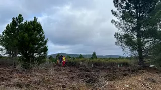 La Junta excluye más de 700 hectáreas del Monte Protector 'Valle del Árrago'