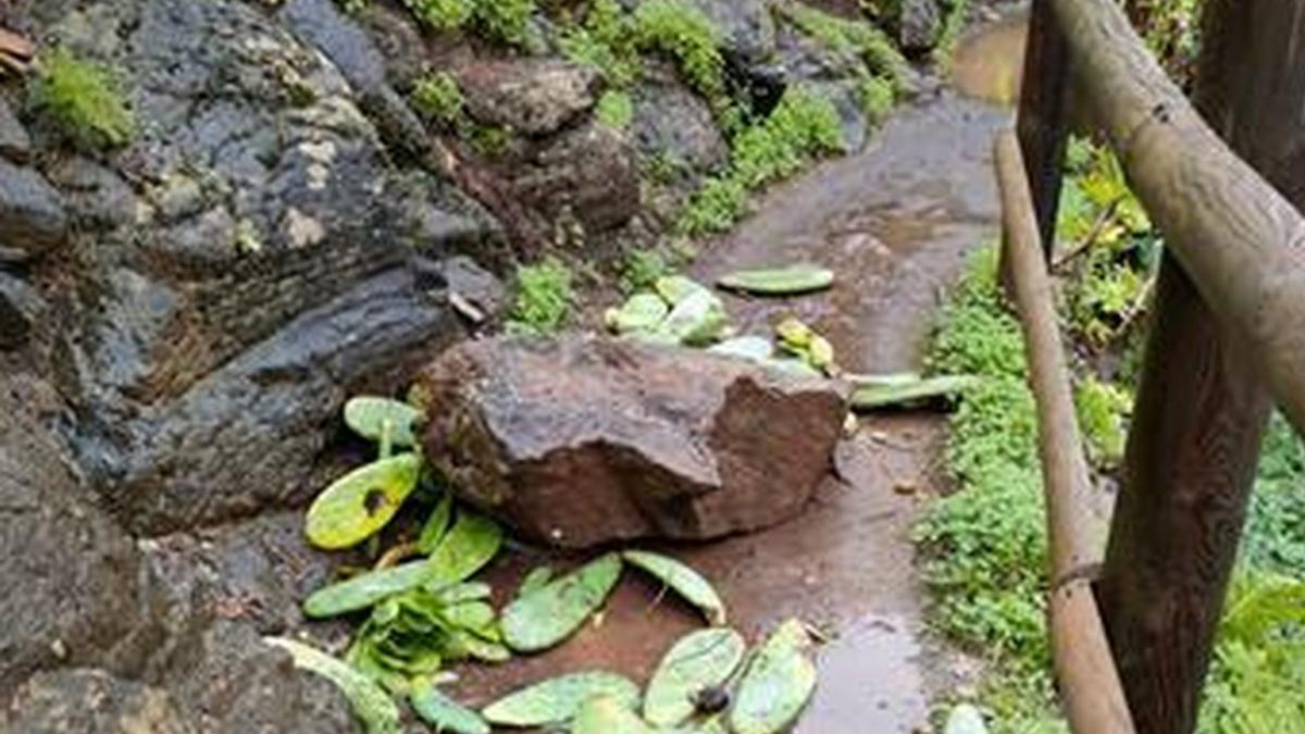 Imagen de una piedra desprendida en el sendero.