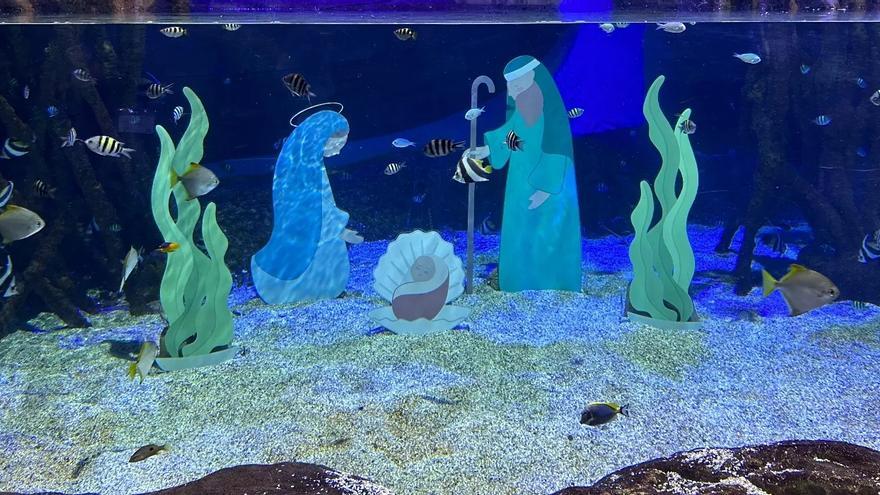 Estos son los planes que puedes hacer con los más pequeños si llueve esta Navidad en Sevilla