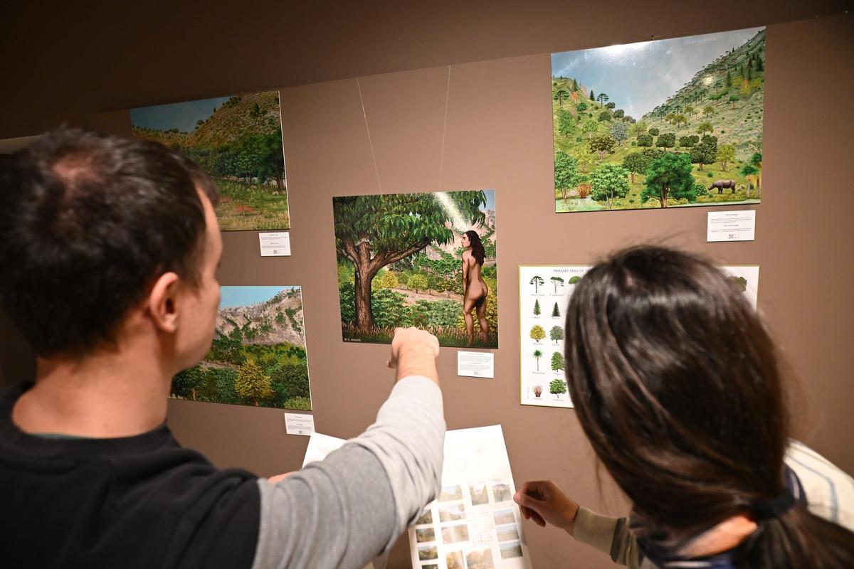 El Museo Paleontológico de Elche acoge desde este martes la exposición Paleolight de la Universidad de Murcia