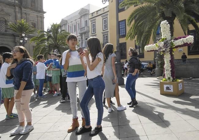 CONCURSO DE CRUCES DE MAYO