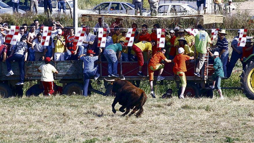 Centauros en Guarrate