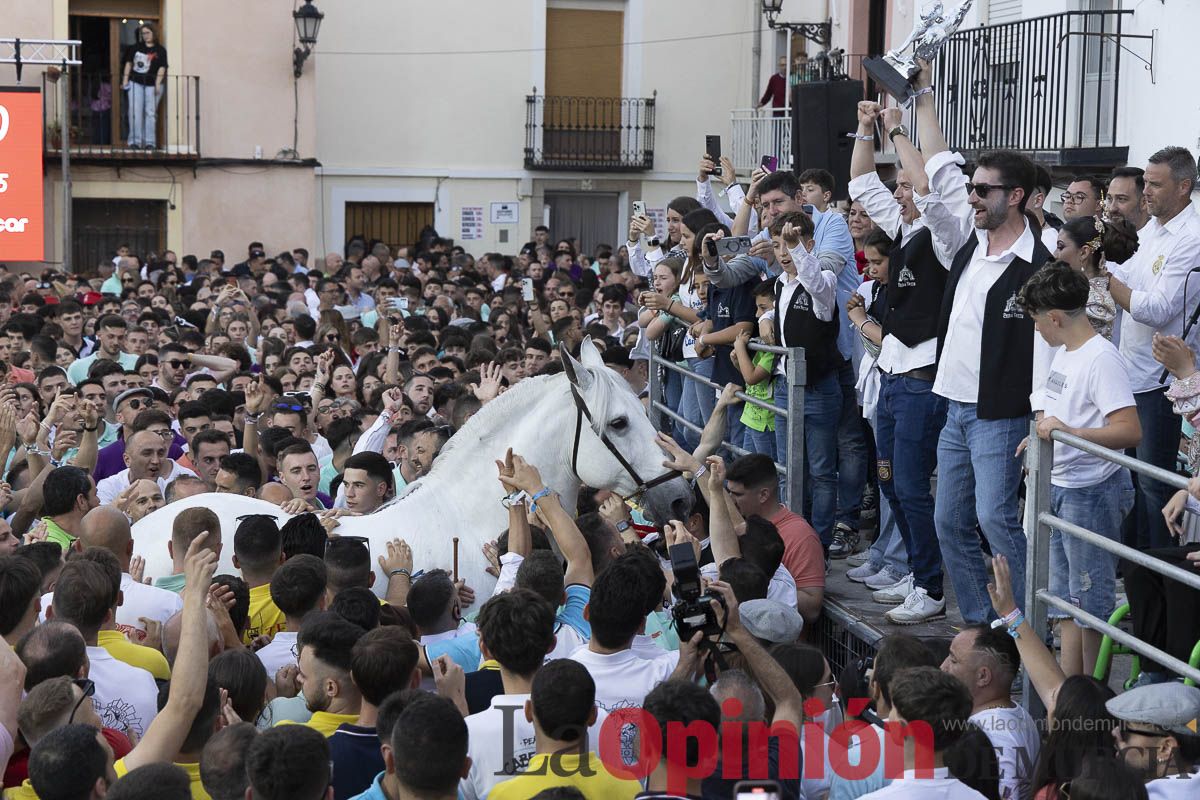 Fiestas de Caravaca | Entrega de premios del concurso morfológico