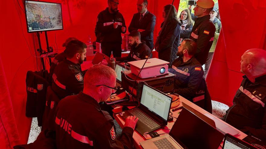 Troben 50 senglars morts en el radi d'afectació de la pesta porcina