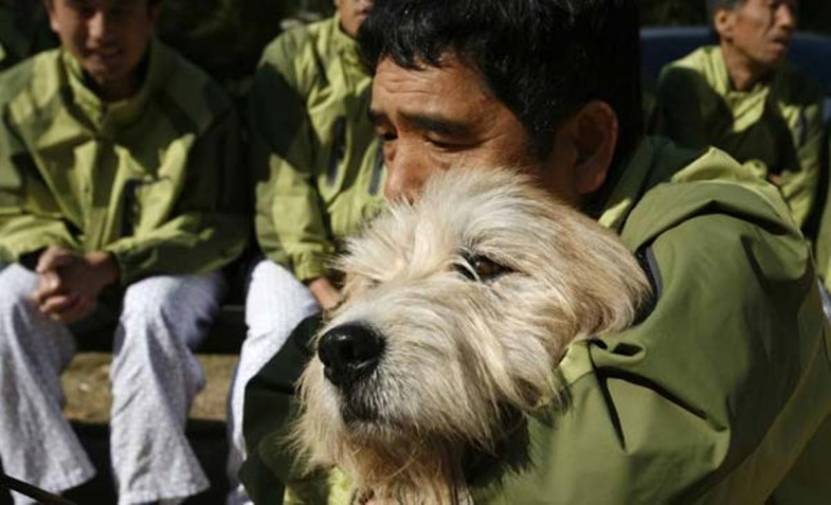 Un pacient en un hospital de rehabilitació abraça un gos de la raça sapsaree, utilitzat com a gos de teràpia, a Yeongcheon (Corea del Sud). L’exèrcit japonès va aniquilar aquesta raça durant el període de domini colonial, però l’espècie ha remuntat en aquest país gràcies a Ha Ji-Hong, un genetista que combina els mètodes tradicionals de reproducció amb els avenços en tecnologia d’ADN.