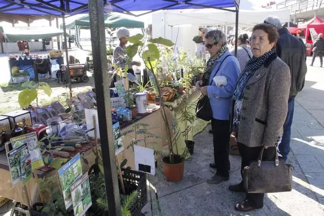 La Feria Ecoartesá vuelve a lo sano