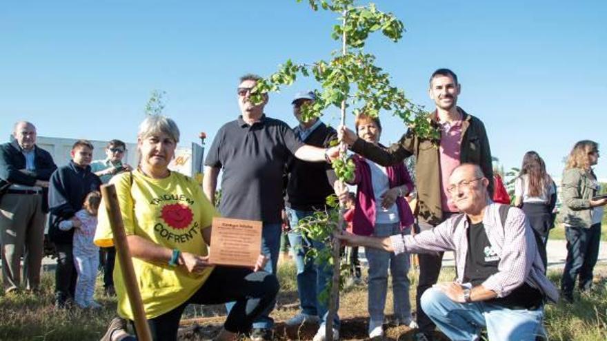 El árbol de la paz plantado por Tanquem Cofrents.