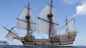 mayflower