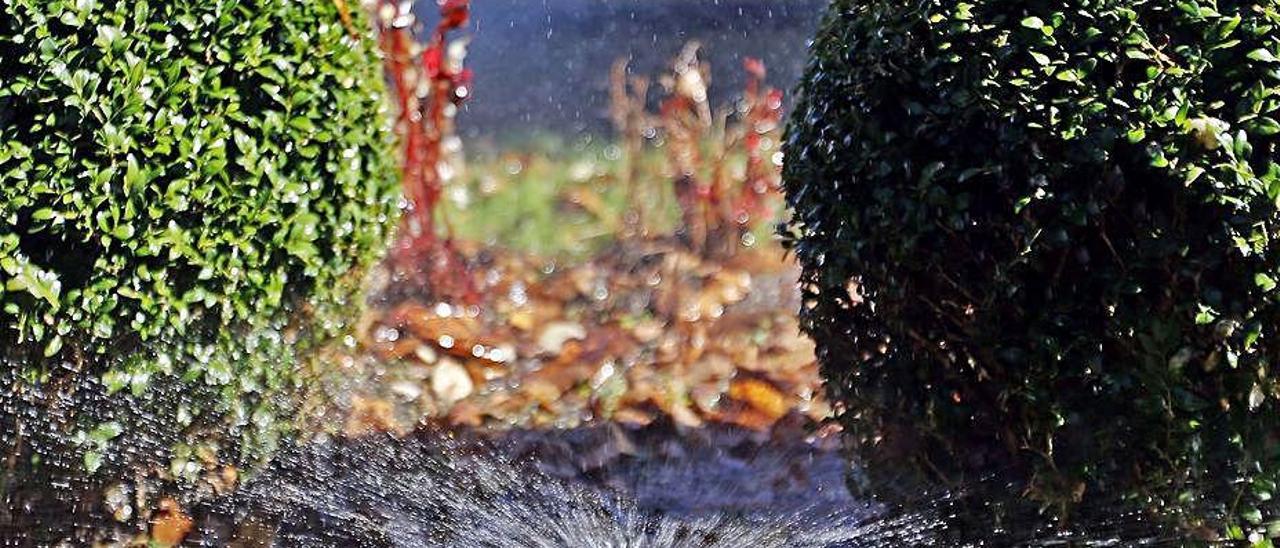 O Rosal y A Cañiza ya prohiben regar jardines.