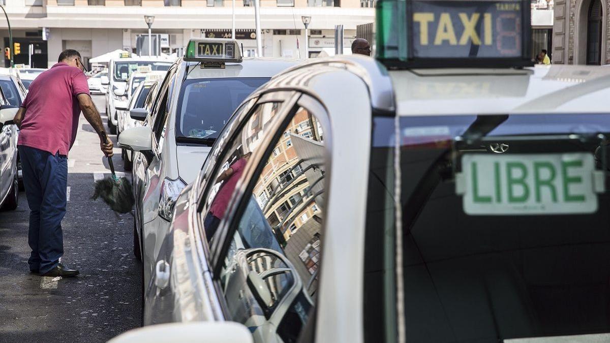 Taxis aparcados en Málaga capital, en una imagen de archivo.