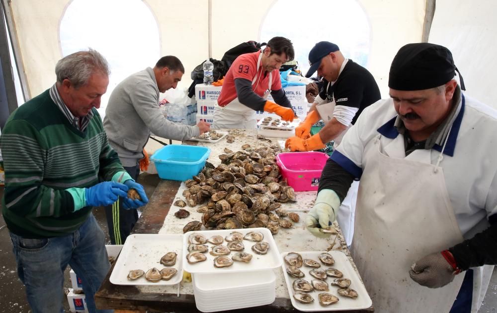 La primera jornada de la  fiesta gastronómica congrega a numeroso público, que disfrutó del molusco al natural y en escabeche.