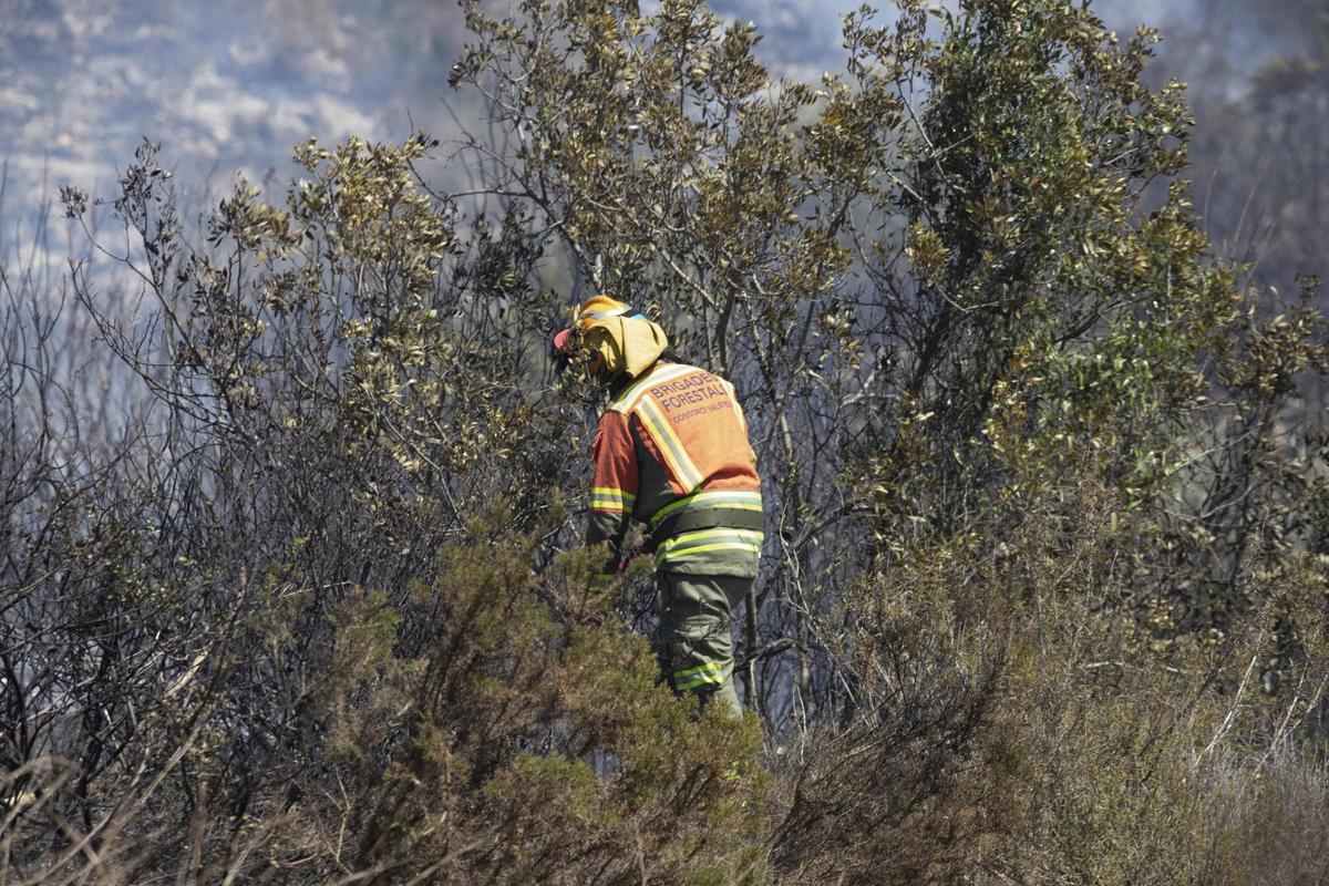 Un brigadista trabaja en un incendio, en una imagen de archivo.