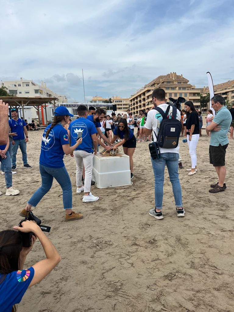 Tres tortugas vuelven al mar en Dénia