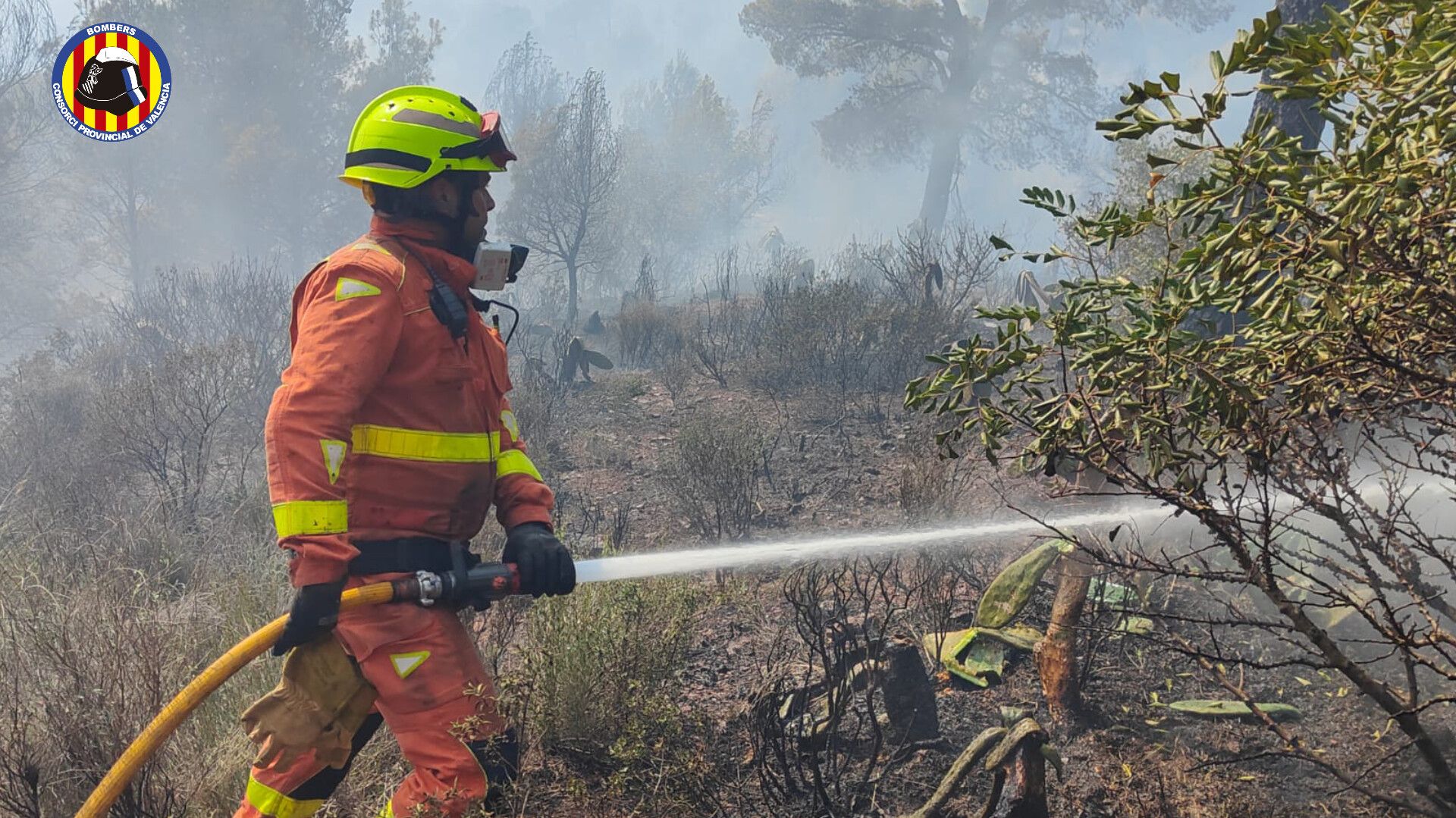 Los bomberos trabajan en la extinción del incendio de Puçol.