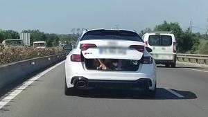 Denuncien un conductor a l’Empordà que portava dos menors al maleter mig obert