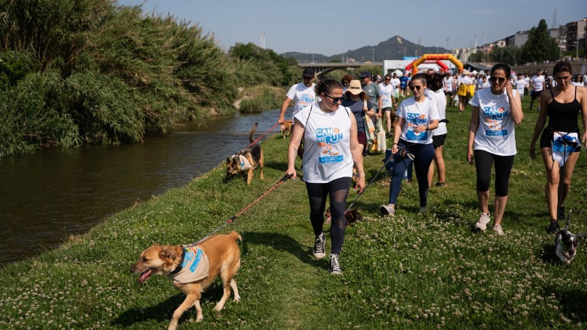 Éxito en la Can We Run