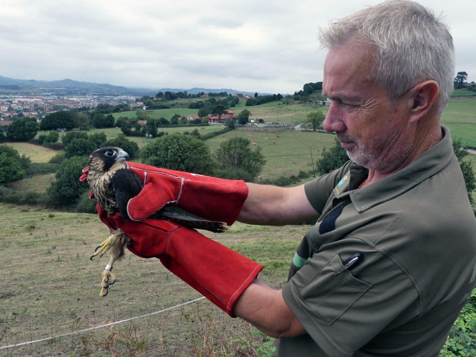 Los "pacientes" del HUCA de los animales de Asturias