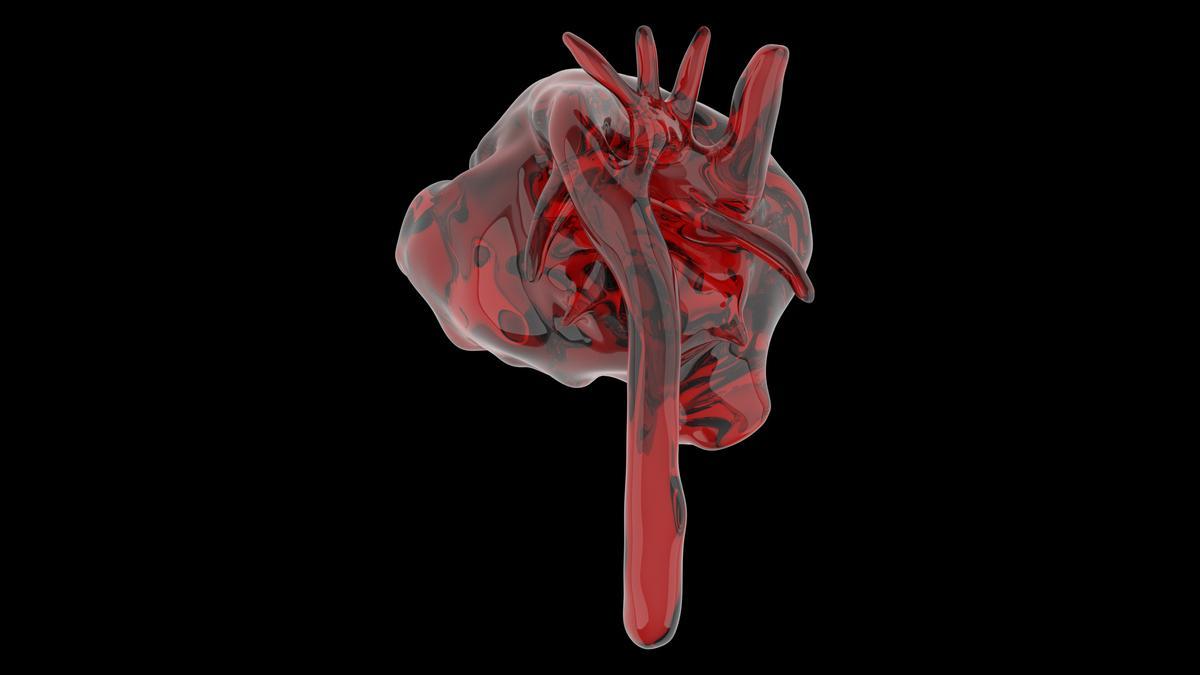 Gemelo digital del corazón de un feto.