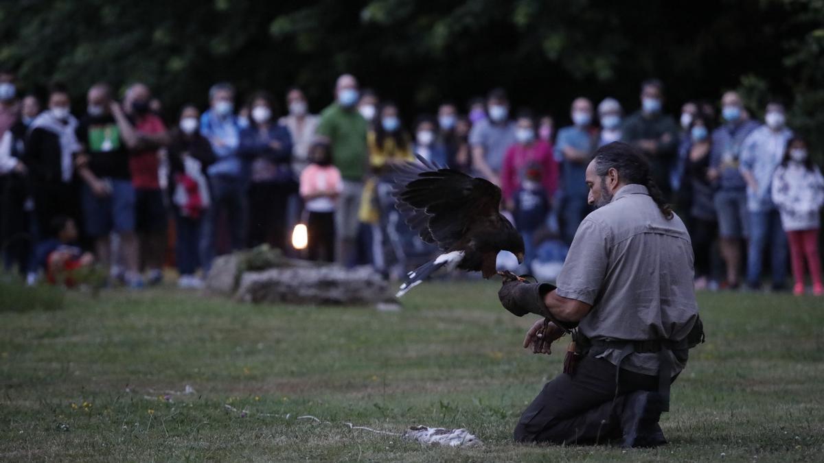 Espectáculo nocturno en el Jardín Botánico Atlántico de Gijón