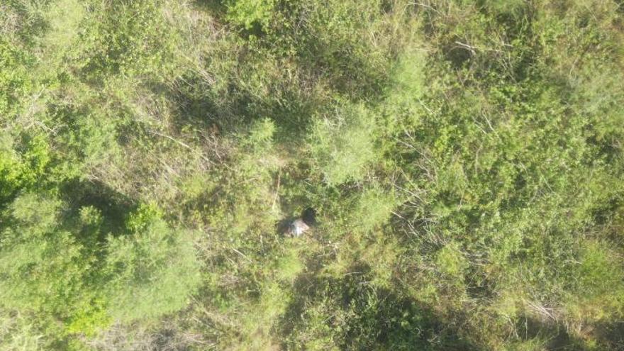 Un dron permite localizar a un hombre desaparecido en Sant Mateu