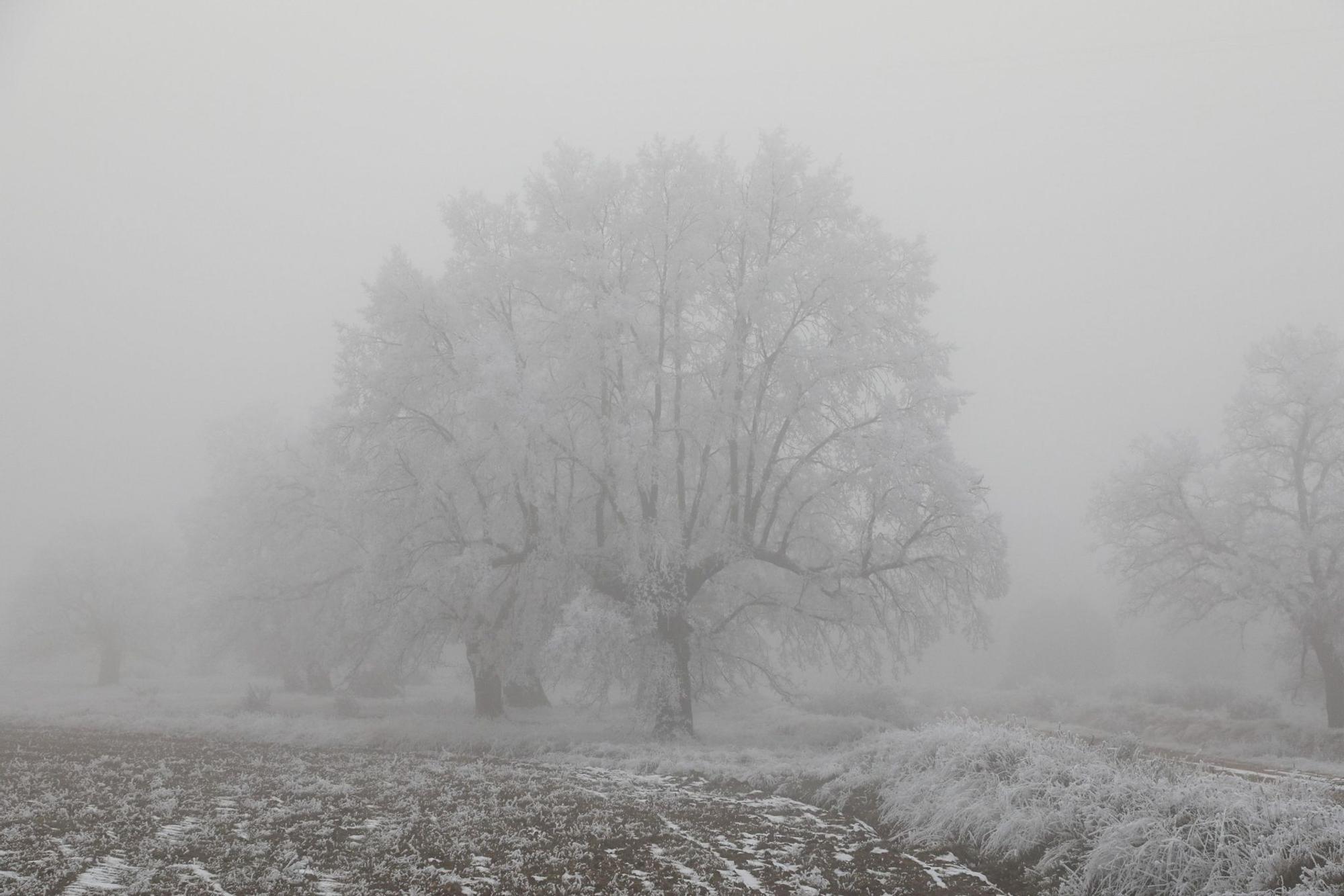 Paisajes de una Zamora escondida bajo la niebla