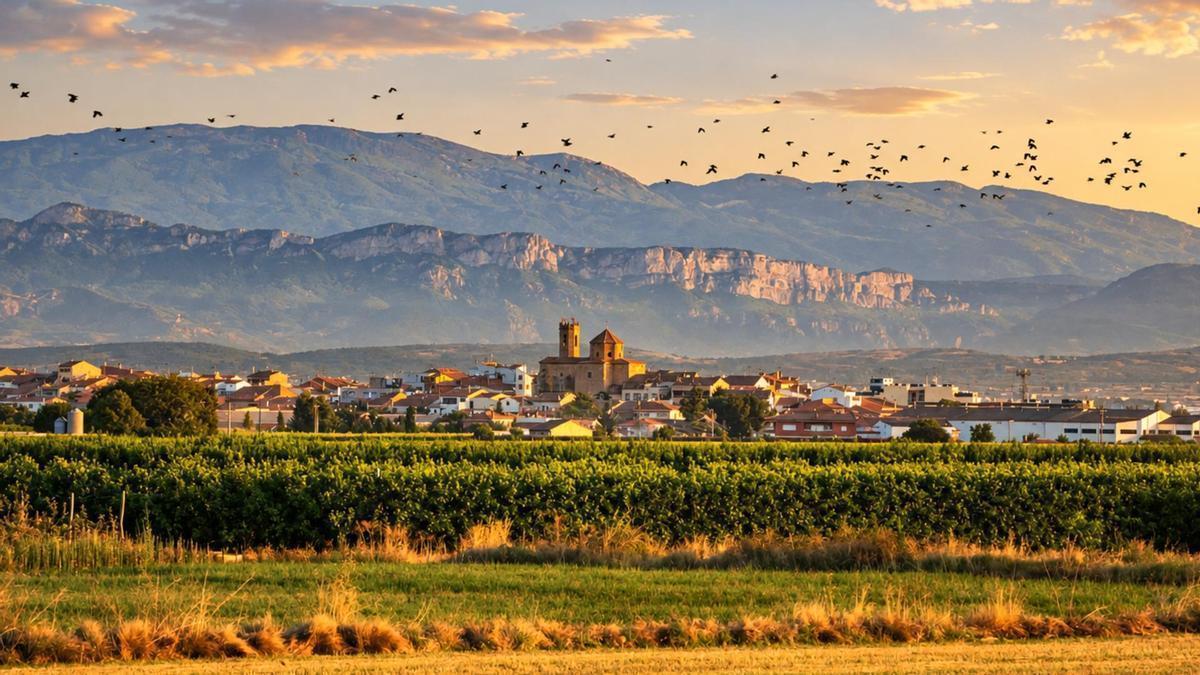 Lleida cuenta con numerosos y pequeños pueblos a lo largo de la región.