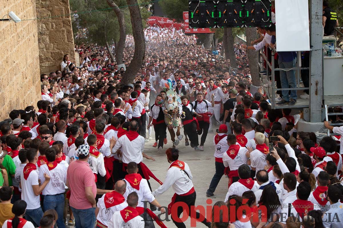 Así ha sido la carrera de los Caballos del Vino en Caravaca